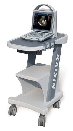Портативний УЗД сканер для ветеринарії DCU-12, KAIXIN DCU12 фото