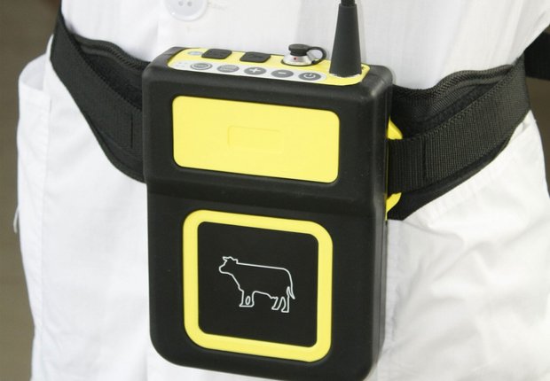Ручний УЗД сканер для скотарства DVU82 DVU82 фото