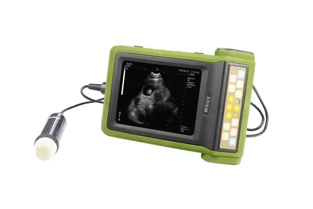 Swine mechanical probe pregnancy ultrasound scanner