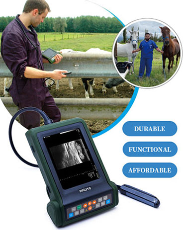 Kaixin RKU10 ultrasound machine for livestock